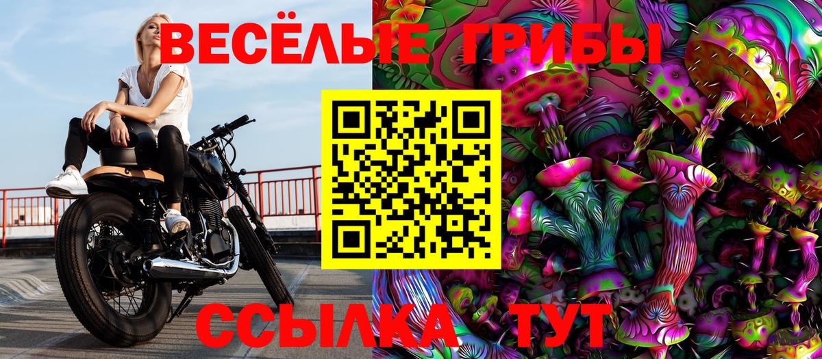 Серпухов  Псилоцибиновые грибы MAGIC MUSHROOMS  Вход с VPN 