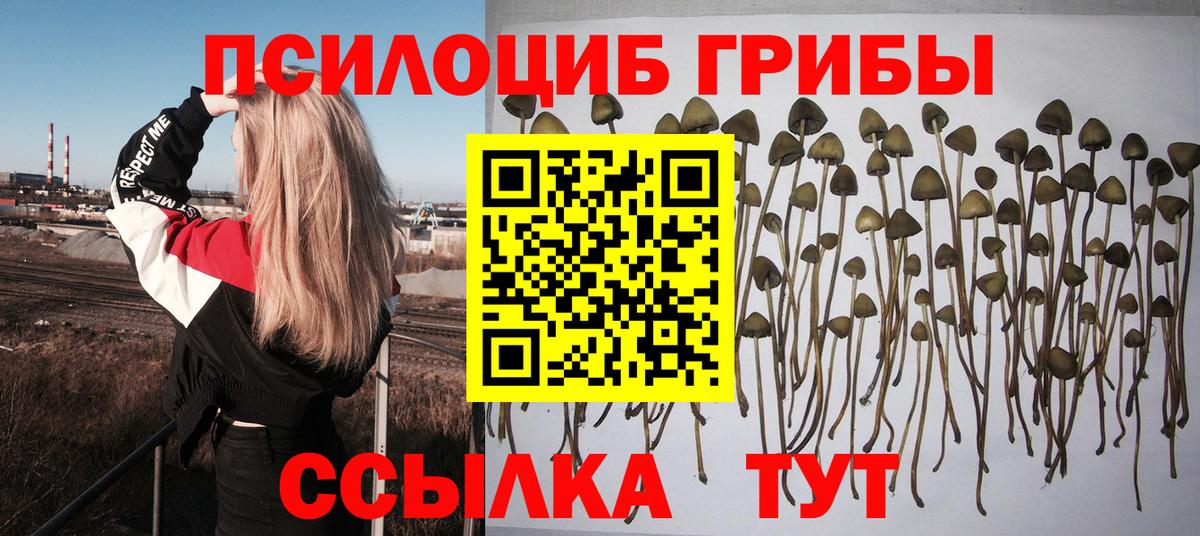 Галлюциногенные грибы Cubensis Серпухов